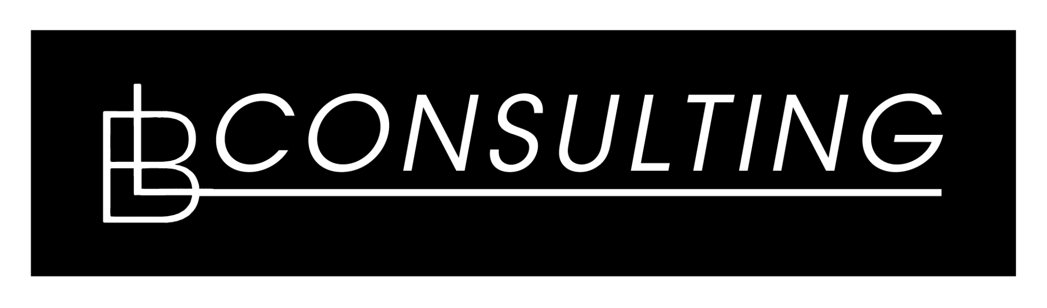 BL CONSULTING